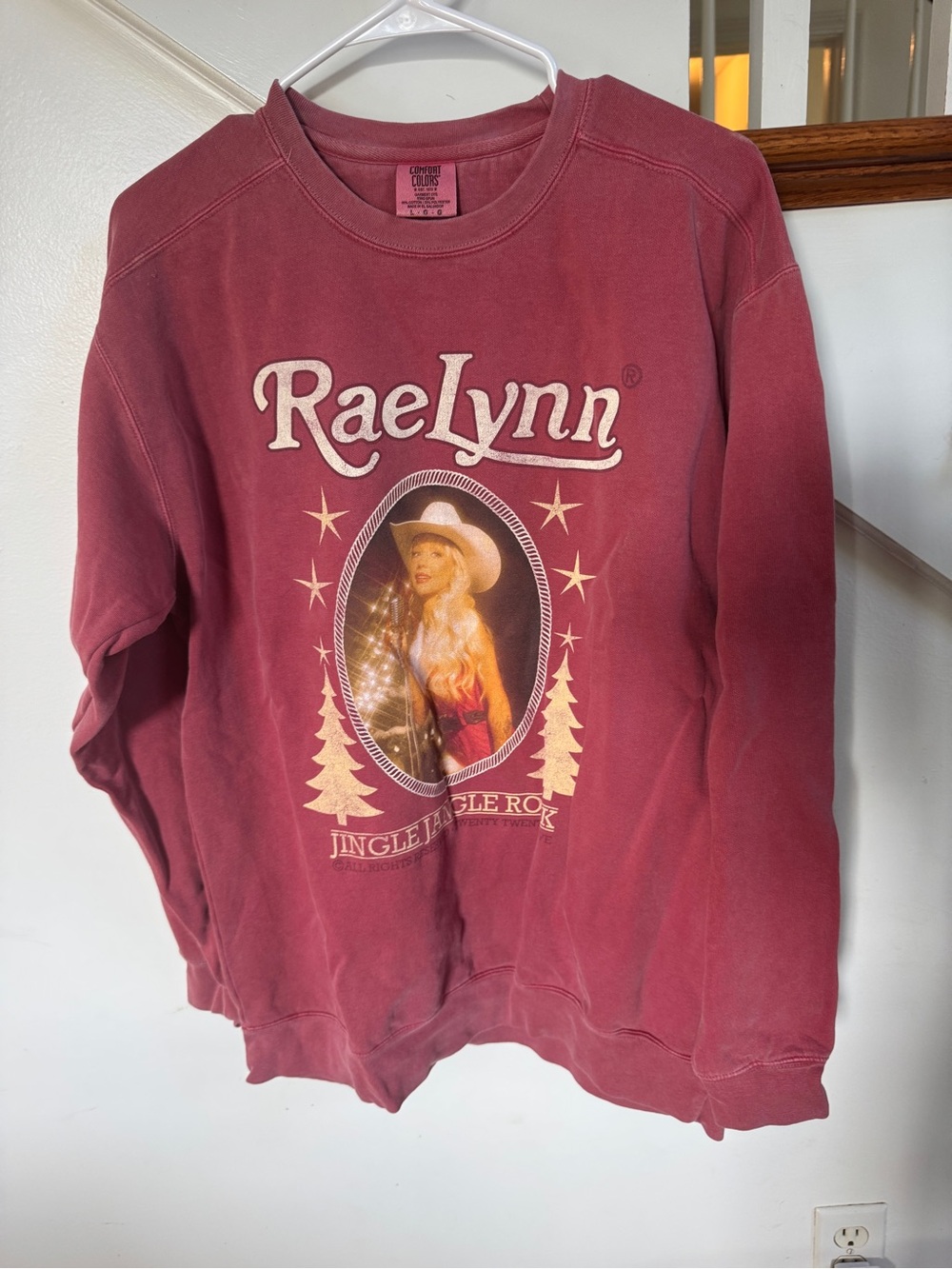 Comfort Colors Raelynn Christmas Graphic Crewneck in Dusty Red